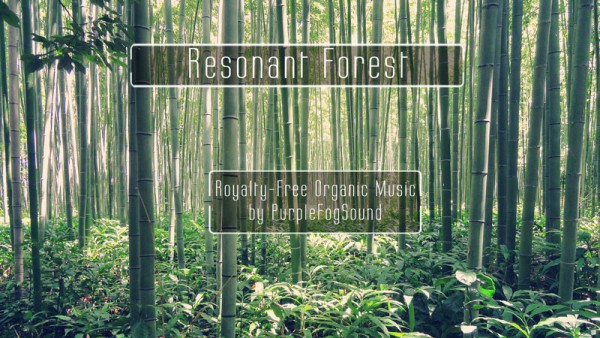 Ambient Music for Media - Resonant Forest by Purple Fog Music