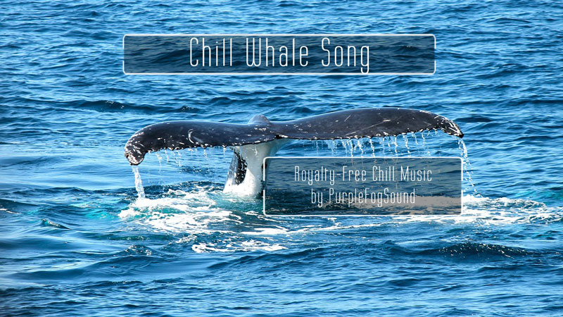 Chill Music for Media - Chill Whale Song by Purple Fog Music