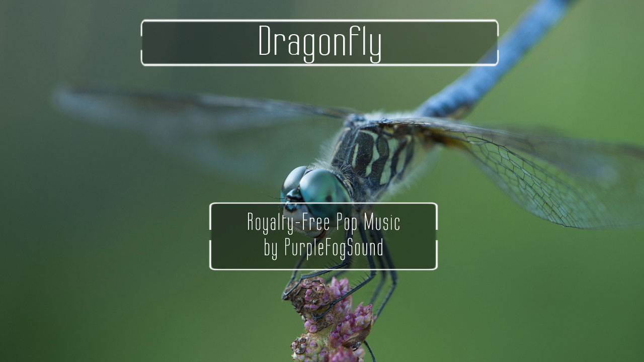 Pop Music for Media - Dragonfly