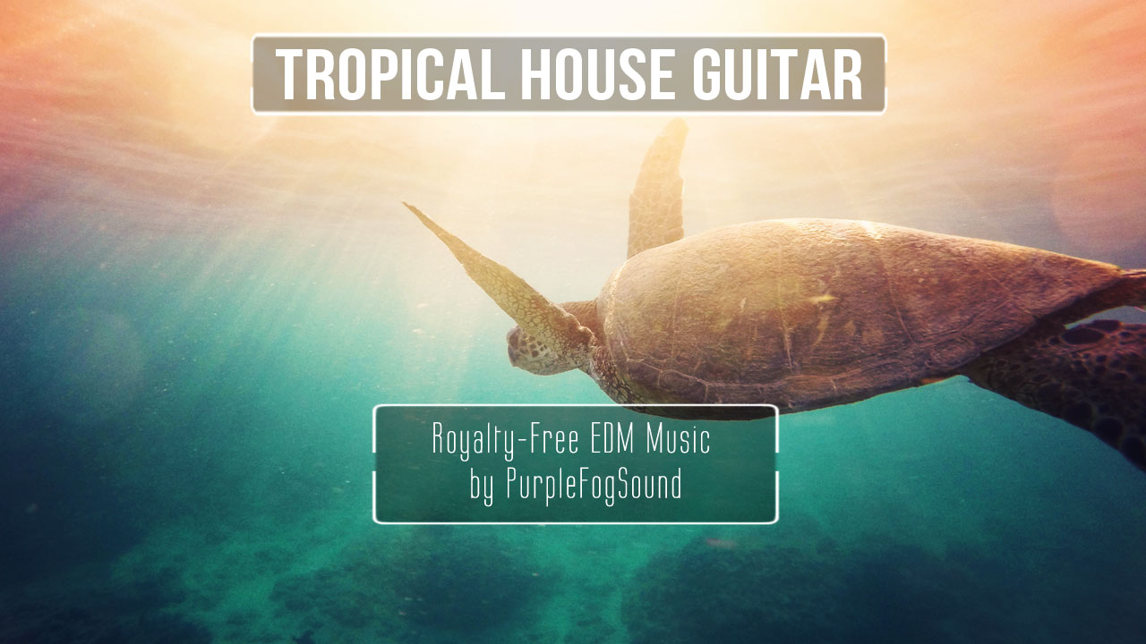Tropical House Guitar EDM Music for Media by PurpleFogSound