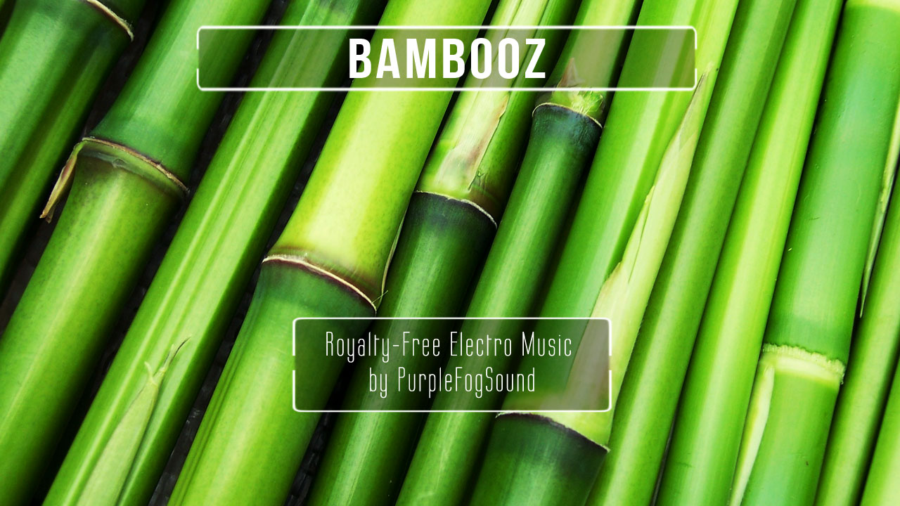 Electro Music for Media - Bambooz by PurpleFogSound
